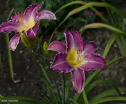 IMG_3170.webp