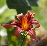 IMG_3177.webp