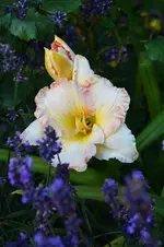 DSC_2091.webp