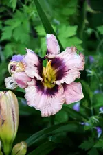 DSC_2098.webp