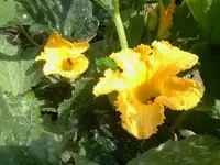 jog 072.webp