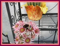 056.webp