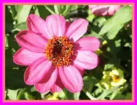 046.webp