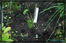 comp_DSC02022.webp