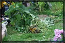 comp_DSC02032.webp