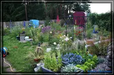comp_DSC02034.webp