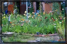 comp_DSC02035.webp