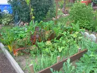 jog 292.webp