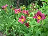 jog 182.webp