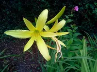 jog 186.webp
