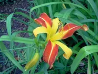 jog 190.webp