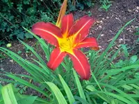 jog 192.webp