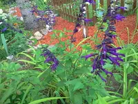 jog 142.webp