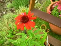 jog 146.webp