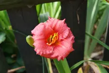 412_4.webp