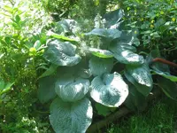 049_1024x768.webp