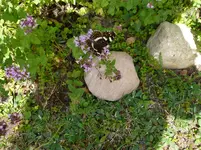 P1020122.webp