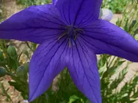 P1020100.webp