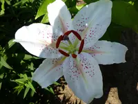 P1020106.webp