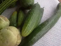 nuki 040.webp