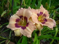 k-DSCI2799.webp