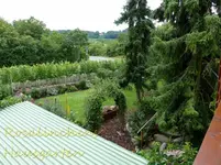 Blick  von der Garage.webp