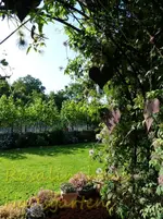 Herziger Durchblick.webp