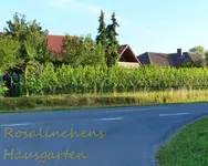 Weingarten.webp