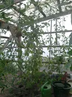 2014-07-15 21.04.40.webp