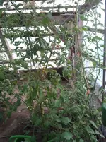 2014-07-15 21.06.02.webp