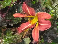 horst_1024x768.webp