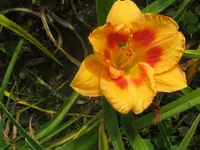 southwestern memories3_1024x768.webp