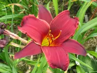 stayford4_1024x768.webp