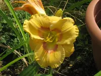 web of intrigue3_1024x768.webp