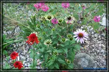 comp_DSC02054.webp