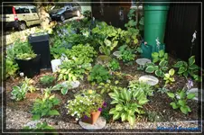 comp_DSC02055.webp