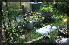comp_DSC02057.webp