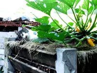 DSCF3598.webp