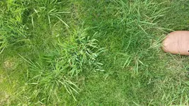 20140707_165255.webp