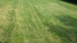 20140707_171744.webp