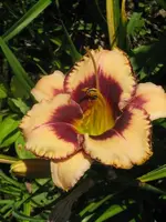 15-08.2_576x768.webp
