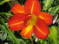 miracle3_1024x768.webp