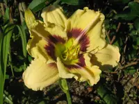schönes kind_1024x768.webp