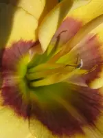 051_576x768.webp