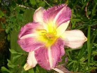 k-DSCI2809.webp