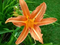 k-DSCI2819.webp