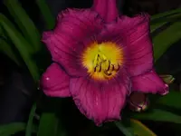 k-DSCI2820.webp