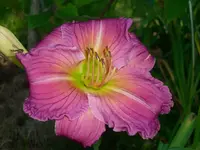 k-DSCI2827.webp
