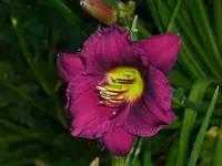 k-DSCI2830.webp