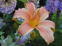 014.webp